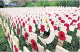  ??  ?? POIGNANT Crosses in Royal Wootton Bassett