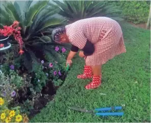  ?? ?? A LABOUR OF LOVE: Ollyn tending her home garden