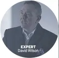  ??  ?? EXPERT David Wilson