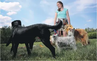  ?? LEAH HENNEL/ CALGARY HERALD ?? Calgary entreprene­ur Megan Connolly finds abundant rewards in her business, Rain or Snow Dogwalking.