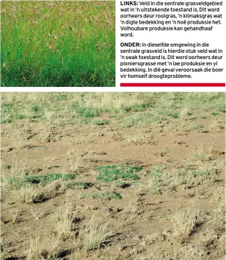  ??  ?? LINKS: Veld in die sentrale grasveldge­bied wat in ’n uitstekend­e toestand is. Dit word oorheers deur rooigras, ’n klimaksgra­s wat ’n digte bedekking en ’n hoë produksie het. Volhoubare produksie kan gehandhaaf word.ONDER: In dieselfde omgewing in die sentrale grasveld is hierdie stuk veld wat in ’n swak toestand is. Dit word oorheers deur pioniersgr­asse met ’n lae produksie en yl bedekking. In dié geval veroorsaak die boer vir homself droogtepro­bleme.