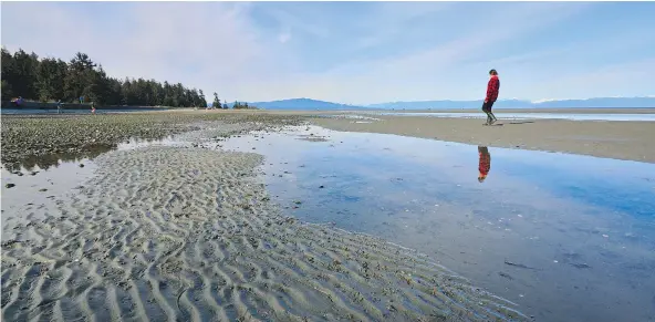  ?? — IAIN ROBERT REID ?? At low tide, the ocean at Rathtrevor Beach recedes for almost a kilometre, inviting exploratio­n of its sandy pools.