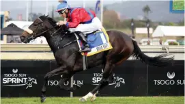  ??  ?? COMEBACK. Brave Mary, pictured winning the Allan Robertson Championsh­ip, makes her three-year-old debut in Race 6 at the Vaal tomorrow and should be hard to beat.