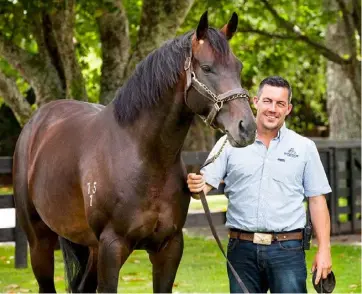  ??  ?? New Zealand Bloodstock managing director Andrew Seabrook, left, and Windsor Park Stud manager and co-owner Rodney Schick with stallion Mongolian Khan.