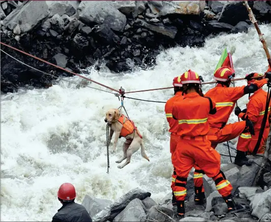  ?? Photo: CFP ?? A dog is transferre­d across a river to aid in rescue missions on Sunday in Maoxian county, Sichuan Province. A landslide on Saturday has left over 90 people missing.