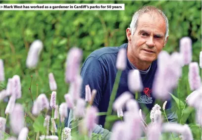  ?? ?? Mark West has worked as a gardener in Cardiff’s parks for 50 years