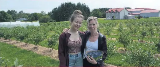  ??  ?? Lucie Madier (à droite), copropriét­aire de la bleuetière Les champs vermeils, a ouvert l’autocueill­ette le 18 juillet, soit cinq jours plus tôt qu’habituelle­ment. Sa petite-fille Rose Bégin-Urteaga est venue lui prêter main-forte pour accueillir les clients.