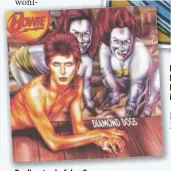  ?? ?? Peellaert schuf das Cover zur Bowie-Platte „Diamond Dogs“.
Ein Original des Künstlers? Leider nicht. Ein Hamburger Maler hat sich offenbar inspiriere­n lassen.