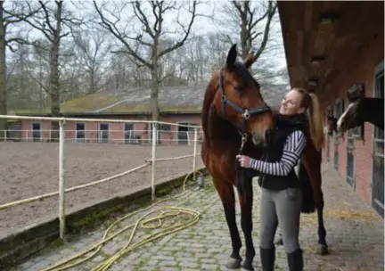  ?? FOTO KRISTIN MATTHYSSEN ?? Claire Gevers met haar paard aan de buitenpist­e van Jeff’s Club.