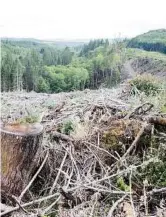  ??  ?? Clearcut forests along Highway 30 near Portland, Ore. Many small family forests turn a profit through logging and don’t know much, if anything, about making money through conservati­on efforts.