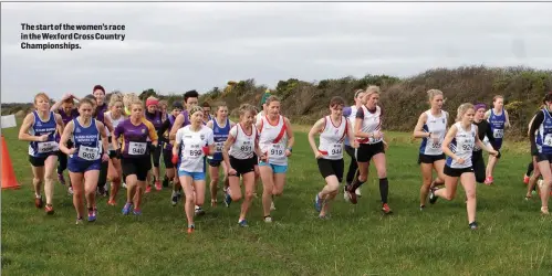  ??  ?? The start of the women’s race in theWexford Cross Country Championsh­ips.