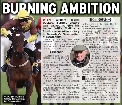  ?? ?? FANCIED: Burning Victory favourite in the Cesarewitc­h
