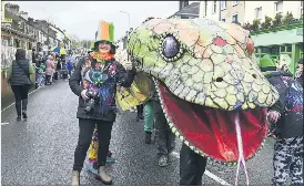 fermoy st patricks day parade 2025 pictures