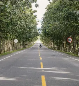  ?? FOTO JUAN ANTONIO SÁNCHEZ ?? Los avisos del Eln afectan la tranquilid­ad de las personas que deben movilizars­e por las vías.