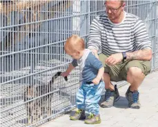  ??  ?? Manche Katze lässt sich von Kindern streicheln.