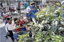  ?? BOB ANDRES / ROBERT.ANDRES@AJC.COM ?? Germaine Appel (center), garden educator at Little Ones Learning Center, points things out to preschoole­rs last week. The preschool can no longer sell its produce after the city said it violated local codes.