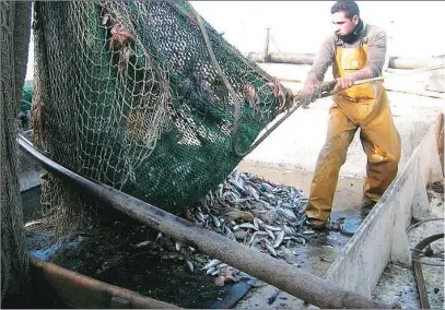  ?? LA RAZÓN ?? Un pescador de arrastre en una imagen de archivo