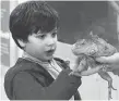  ??  ?? Fenway Zaret pets an iguana Friday during the second day of a four-day exhibit at Nepean Sportsplex.