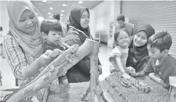  ??  ?? PENGUNJUNG melihat cicak Bearded Dragon, cicak Blue Tongue Skink dan ular sawa Ball pada Ekspo Kucing di Matrade, Kuala Lumpur. — Gambar Bernama