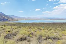  ??  ?? Mono Lake arrests your senses.