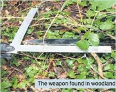  ??  ?? The weapon found in woodland