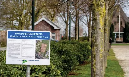  ?? Photograph: Robin Utrecht/Rex/Shuttersto­ck ?? Dozens of people flocked to the Bodegraven Reeuwijk to lay flowers on the graves of ‘victims’ as a result of the false conspiracy theory.