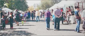  ?? CONTRIBUTE­D PHOTO ?? The Springvill­e Apple Festival with a crowd enjoying the many booths.