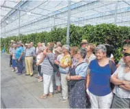  ?? WU FOTO: ?? Gartenfreu­nde besuchen die Reichenau-Gewächshäu­ser.