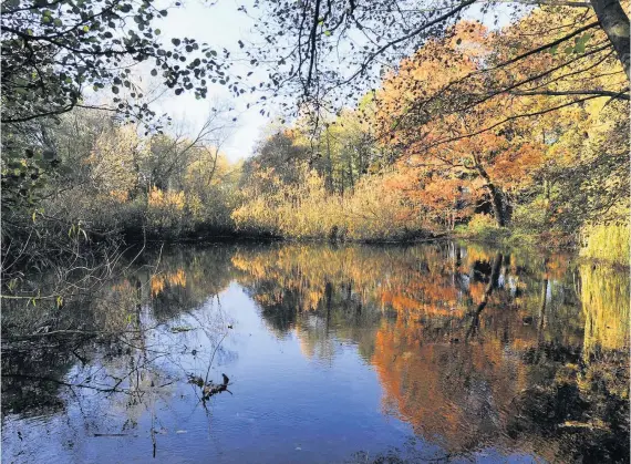  ??  ?? &gt; The city council is looking to counter budget cuts by introducin­g parking charges at Sutton Park in Sutton Coldfield