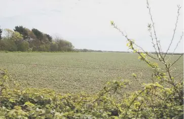  ??  ?? The fields under threat of developmen­t east of Church Road on the edge of East Wittering