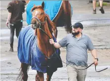  ?? NICK PROCAYLO/FILES ?? The return of racing to Hastings Racecourse next week will save the sport in B.C., according to at least one horse owner.