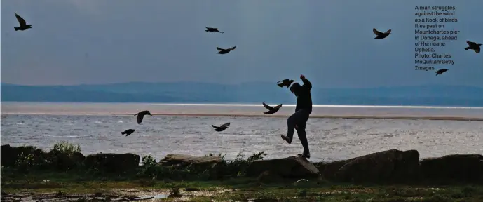  ??  ?? A man struggles against the wind as a flock of birds flies past on Mountcharl­es pier in Donegal ahead of Hurricane Ophelia. Photo: Charles McQuillan/Getty Images