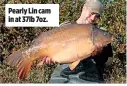  ??  ?? Pearly Lin cam in at 37lb 7oz.