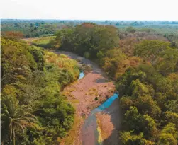  ??  ?? El río Sicarare ha sido desviado hacia plantacion­es de palma. Eso impide a los yukpa y a otras comunidade­s pescar y abastecers­e de agua.