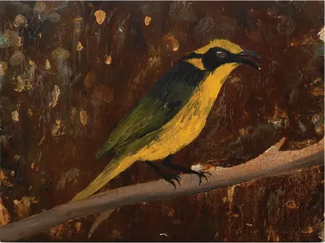  ??  ?? Richard Lewer
Helmeted honeyeater, 2020 acrylic on steel
38.5 x 48.5 cm
AUD $5,500