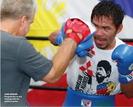  ??  ?? HARD WORKER: Pacquiao has to mix training with his political duties