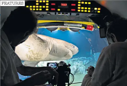  ??  ?? Discoverie­s: a bluntnose sixgill shark, as seen from inside a submersibl­e during filming for Blue Planet II. Right, a fangtooth, one of the Midnight Zone’s most successful predators, seen in the Gulf of Mexico