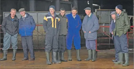  ?? 50_c49ayrshir­es05 ?? Competitor­s and spectators look on as the cattle are judged.