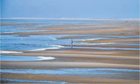  ?? FOTOS: DPA ?? Die niederländ­ische Insel Terschelli­ng: ein unendliche­r Strand, wie es scheint. Das Watt ist eine wahre Fundgrube für Sammler.