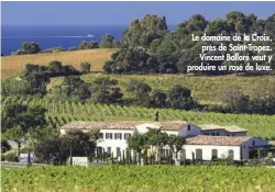  ??  ?? Le domaine de la Croix, près de Saint-Tropez. Vincent Bolloré veut y produire un rosé de luxe.