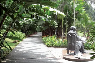  ??  ?? Above left: One of the many ponds with large lily pad leaves. Middle left: A sculpture of Chopin and his wife.
Below left:
A monitor lizard in the Symphony Lake.
Below right: One of many baskets of hanging orchids.