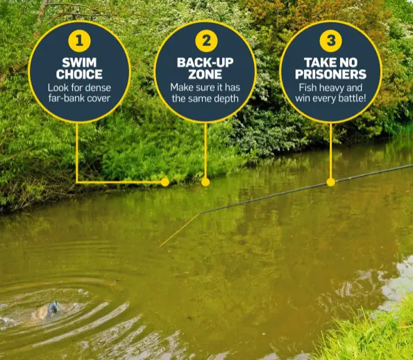  ??  ?? 1 SWIM CHOICE Look for dense far-bank cover 2 BACK-UP ZONE Make sure it has the same depth 3 TAKE NO PRISONERS Fish heavy and win every battle!