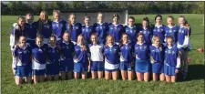  ??  ?? The Coláiste Bhríde Junior camogie side.