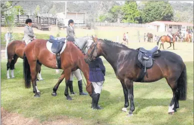  ??  ?? It wasn’t as blistering­ly hot at Broadwood on Saturday as it has been some years, but horses and riders still appreciate­d what shade they could find.