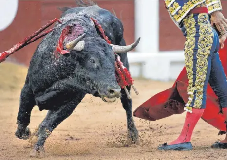  ?? FOTO: ALBERTO MORANTE/DPA ?? Der spanische Stierkämpf­er Julian Lopez „El Juli“tritt während eines Stierkampf­es in der Stierkampf­arena von Gijón auf.