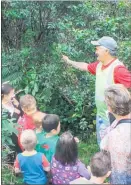  ??  ?? James Kendrick shows the Karamu leaf used by Maori in the past as an antiseptic.