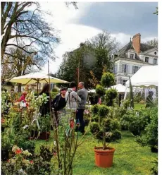  ??  ?? Les Journées des plantes feront découvrir de nouveaux exposants et des animations aux couleurs de l’automne. (Photo archives, Journées des plantes à Crécy la Chapelle)