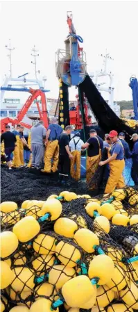  ??  ?? Une activité qui ne s’arrête jamais, en mer comme au port.