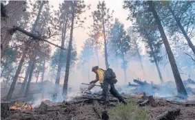  ?? EDDIE MOORE/JOURNAL ?? Larry Martinez, of Española, lights fire during a prescribed burn in the Santa Fe watershed in September 2015.