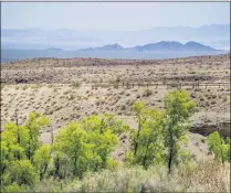  ?? SCNG FILE PHOTO ?? A view of Bonanza Springs in the Mojave Trails National Monument in 2017. Conserving these habitats may help spur infrastruc­ture.
